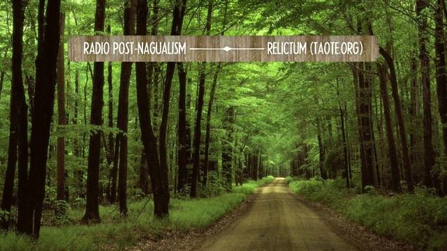 #009 ¦ Нагвализм Кастанеды в трансляциях от Relictum (Taote.org)