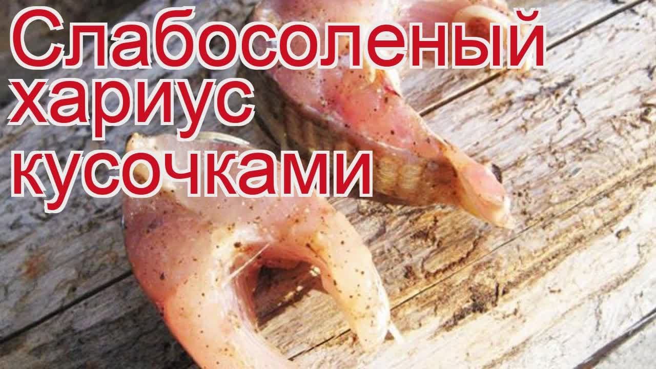 Рецепты из хариуса - как приготовить хариуса пошаговый рецепт - Слабосоленый хариус кусочками