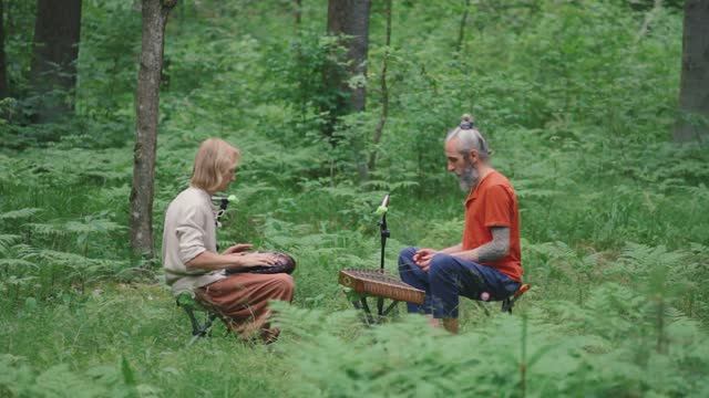 Сантур и глюкофон