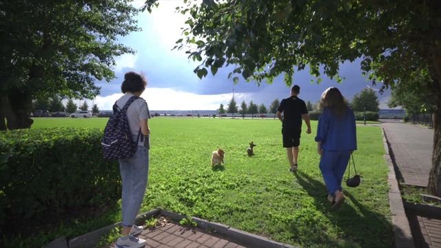 Томск 2023  Обзор Томска  Куда сходить что посмотреть  Достопримечательности ВУЗы  Вверх фест