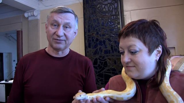 выставка экзотических животных в Видном