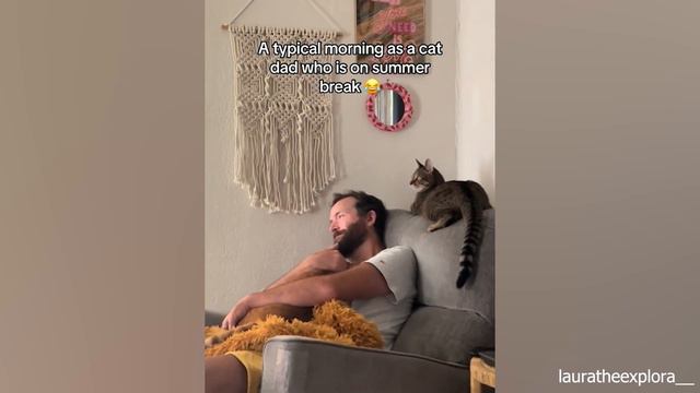 Have a cat is have a world 🧡Cute Cat and Human