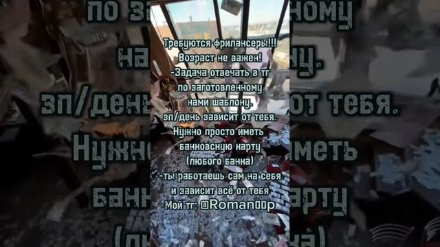 пиши + в лс #on #foryou #рек #fyp #бизнес #фриланс #саморазвитие #freelance #заработок#деньги #темка