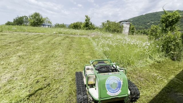 Мы умеем выращивать ковер газона без химии #ВкалываютРоботы