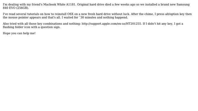 Apple: Macbook White A1181: Startup Manager, Just Mouse Pointer