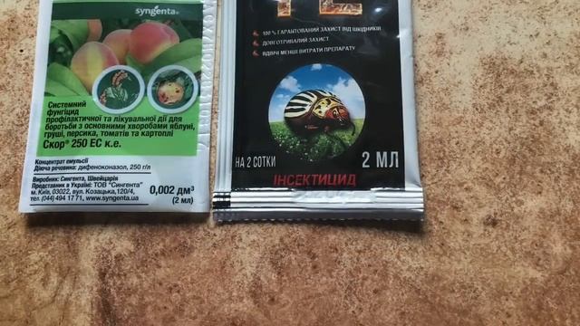 Я В ШОКЕ !!! Восковые розы осенью.