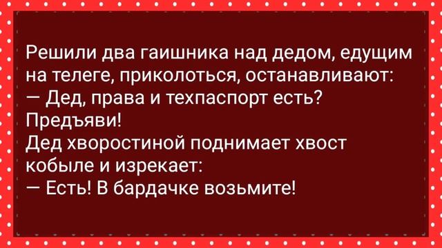 В Деревню на Базар Привезли Вирбаторы! Сборник Свежих Анекдотов! Юмор!