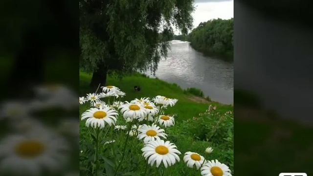 СКАЗКА. Читает автор  произведения ЭльХан. 27 октября 2020 г.