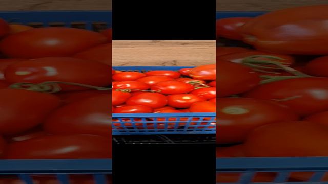 Захотелось похвастаться 😊🍎🍅