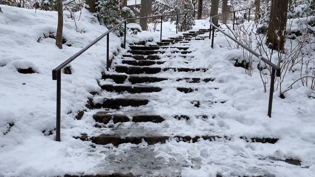 【京都・冬】大原 三千院・寂光院 2022年の雪（Kyoto, Ohara, Sanzen-In, Jakko-In）