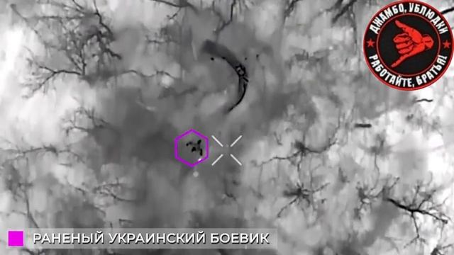 ?БПЛА 132 бригады эффективно уничтожают боевиков ВСУ

Подразделения 132 бригады ранее 3 бригада НМ