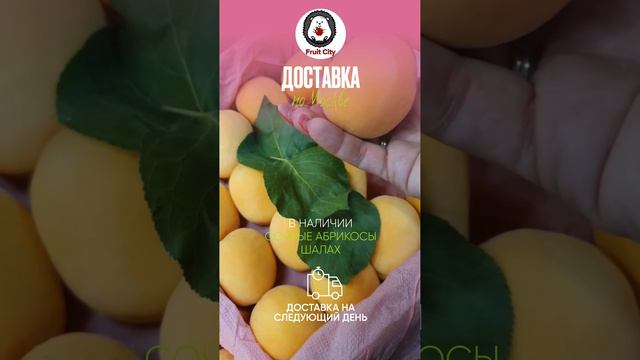 Fruit City