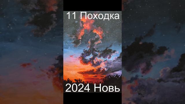 11 Походка 2024г