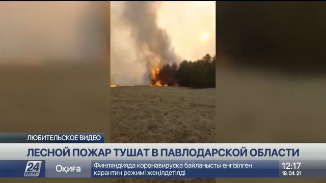 Лесной пожар в Павлодарской области: ликвидированы основные очаги возгорания