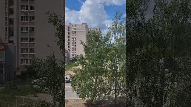 Видеопоказ