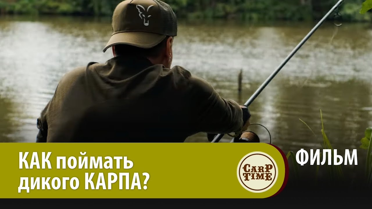 ⭐ КАК ловить КАРПА на НЕЗНАКОМОМ водоеме? КАРПФИШИНГ на ДИКОМ озере с CarpTime! ФИЛЬМ