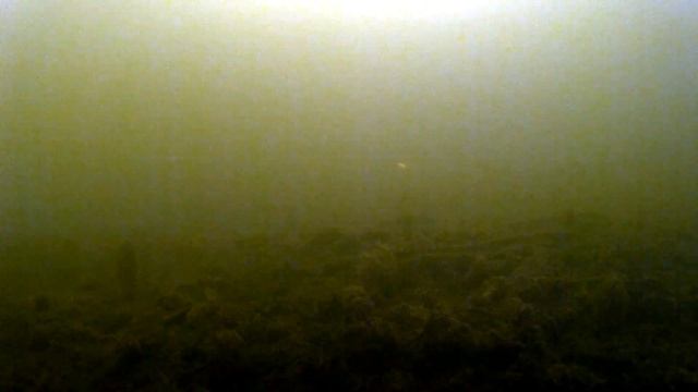 ЩУКА и ОКУНЬ ЗИМОЙ. РЫБА ПОДО ЛЬДОМ. ПОДВОДНЫЕ СЪЕМКИ !!! зимняя рыбалка.