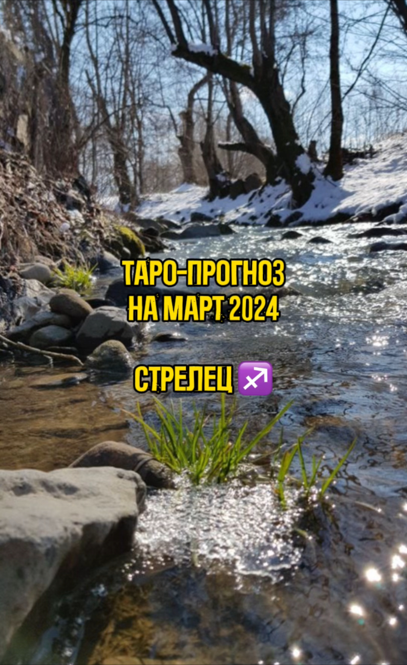 Таро - прогноз на Март 2024 - знак Стрелец