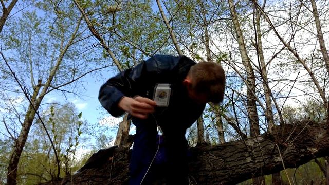Пульт управления телевизорами и профессиональные расчески с Алиэкспресс
