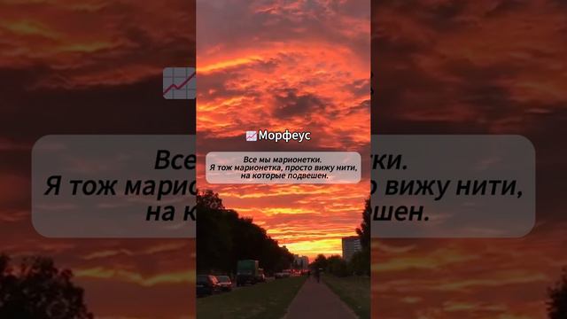 📈Морфеус📈 в ТГ