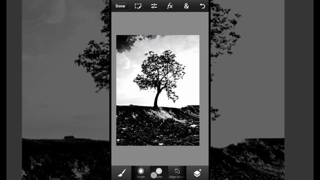PS Touch Tutorial - Perfectly Cut Out Tree From A Photo in ps touchandroid