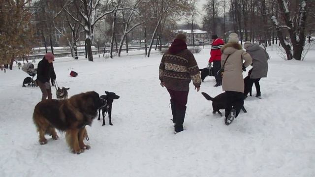 Послушка. 
29012022