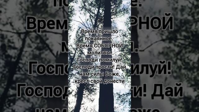 Просыпайтесь люди добрые! На молитву СОБОРНУЮ! Близко, при дверях ОН...При дверях стоит, Армагеддон!