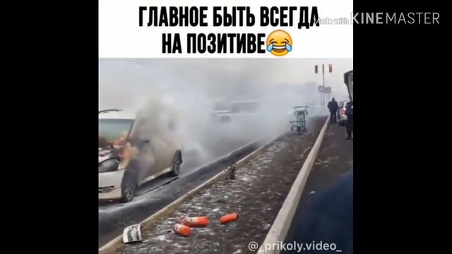 Лучшие приколы Январь 2020| До слёз| Смешные видео с котами, смешно, приколы с животными, ржака