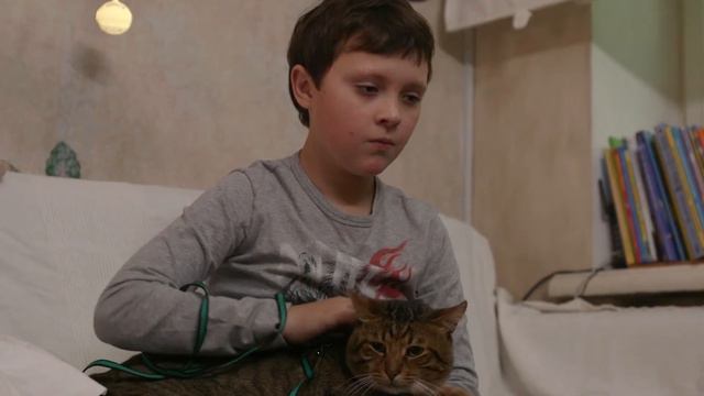 Мой кот Мурзик! Из какой страны он ко мне прилетел, а еще интересные факты про кошек