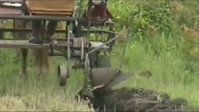 ДУМЫ ГУЖЕВОГО КОНЯ