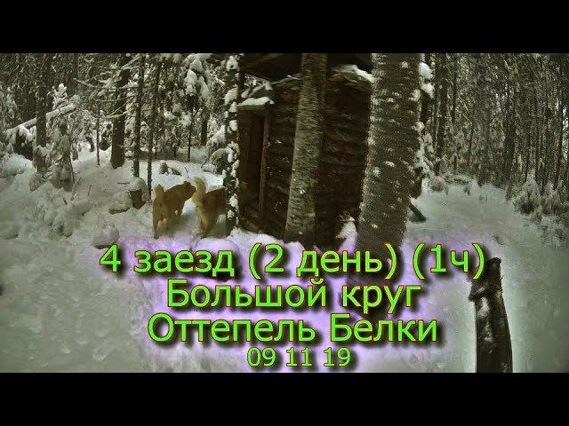 4 заезд (2 день) (1 ч) Большой круг Оттепель Белки 09 11 19