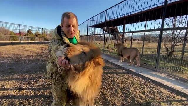 Друзья , мы помогли ЦИРКОВЫМ ЛЬВАМ и СЛОНАМ ,спасибо всем !