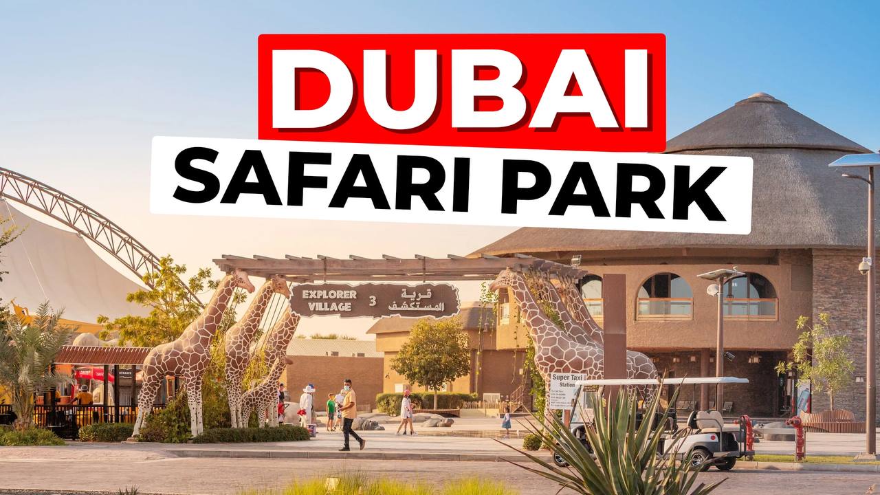 Dubai Safari Park - живая природа с разных уголков мира в одном месте!