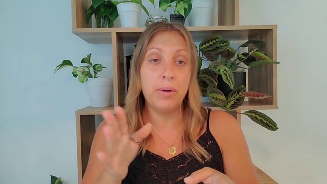 Tout savoir sur le SYNGONIUM
