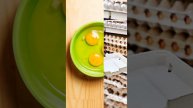Яйцо снижает риск опасных болезней