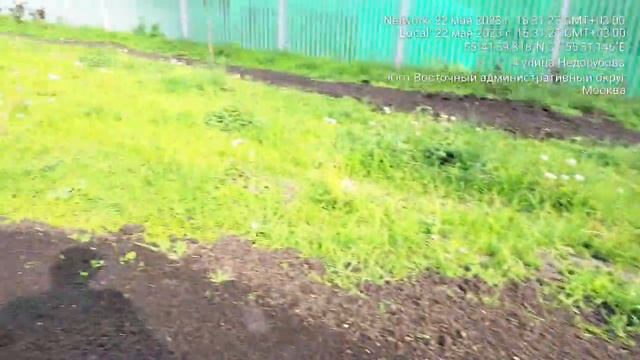 г. Москва, улица Недорубова, д. 4. Газон. 22.05.2023г.