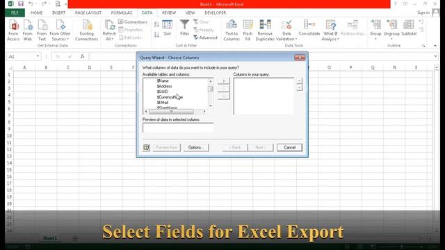 Export Customer  Supplier Ledger with Contact Details into Excel Tally to Excel