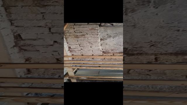 Кормушка для овец