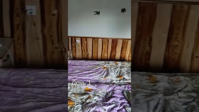 День №1.Зимний лагерь СК"Самбист-84"