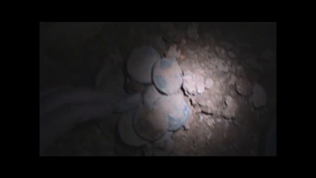 ПОИСК КЛАДА НА УКРАИНЕ ЗАКЛАДУХА ОДИННАДЦАТЬ ПЯТАКОВ SALADUHA ELEVEN DIMES UKRAINE BOLHRAD