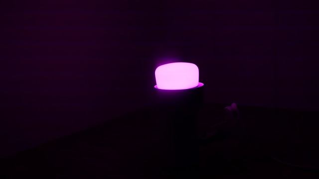 Алиса Yeelight Smart LED Bulb 1SE