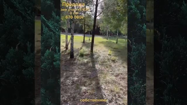 Пихтовая 16 видео NEW