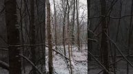 March in the snow