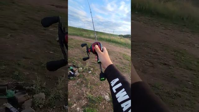 Тест мультипликатора