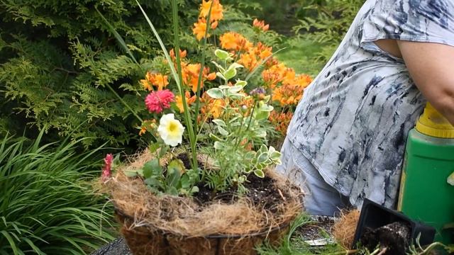 Creating One of a Kind Hanging Baskets and Planters Final