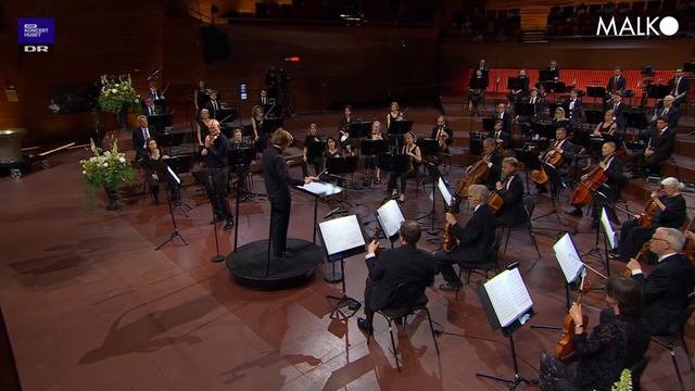 Malko Competition 2021, Semi-final: Anton Holmer, Sibelius
