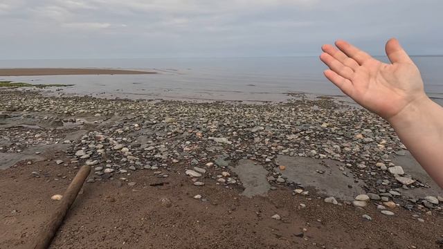 BACKSTAGE с берега Белого моря / про гранатовый песок / голубую глину / про мох, что растёт на камня