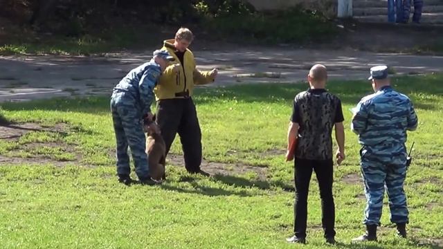 Приволжская Академия Кинологии. Элвис 13 месяцев