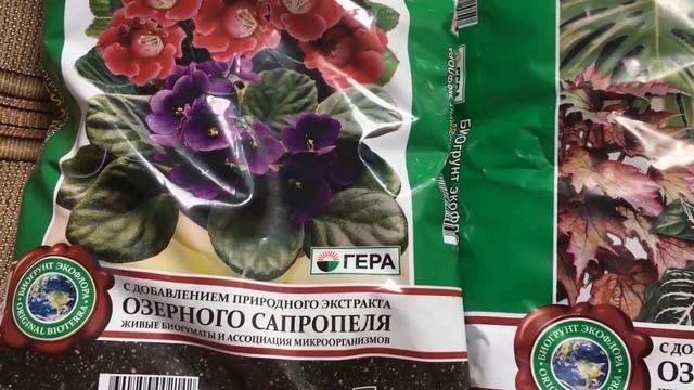 Весенняя пересадка комнатных растений