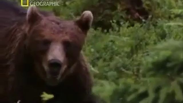 Бурзянский район.mp4